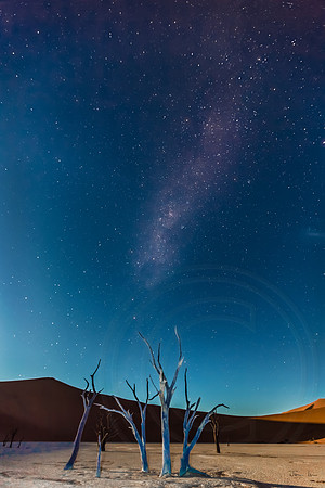 Dead Vlei Light Painting