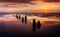 Groynes with Violet Sunset