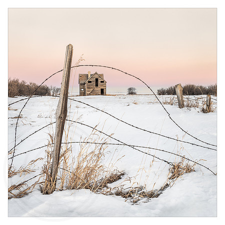 Through the Barbed Wire Fence