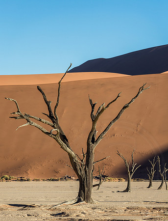 Dead Vlei, Stretching