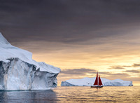Roaming Amongst the Icebergs