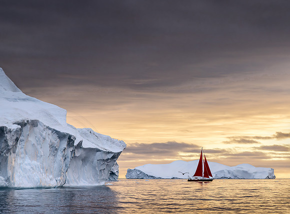 Roaming Amongst the Icebergs