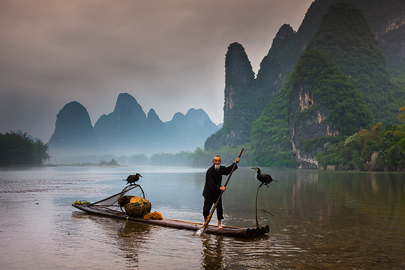 Cormorant Fisherman 5