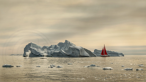 Companions Around the Iceberg