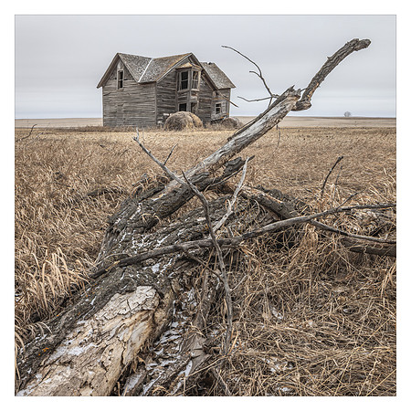 A Once Beautiful House, Forlorn